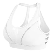 Sporty Classic Seamless Sports Bra-Fitnessmotivations